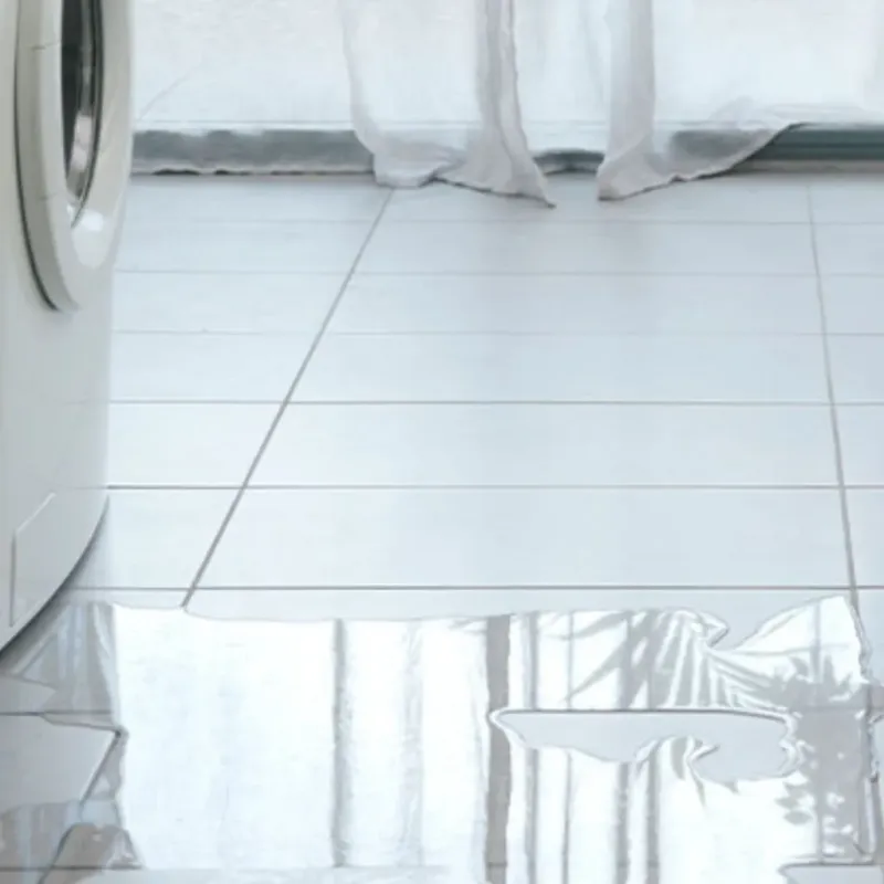 Appliance Leak Cleanup in Hamilton, IN