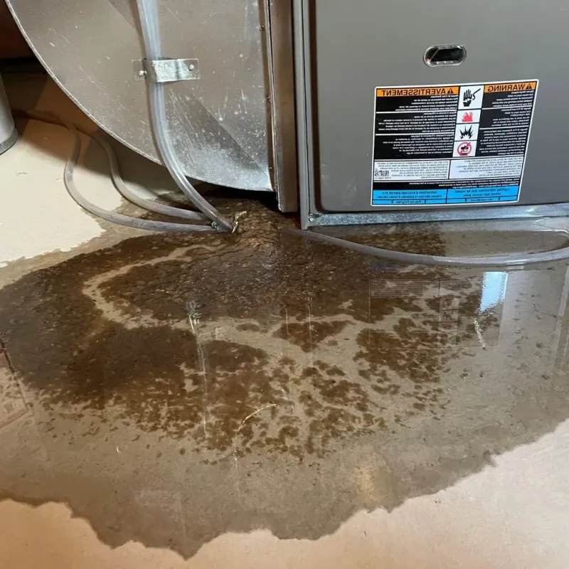 Pipe Burst and Leak Restoration in Hamilton, IN